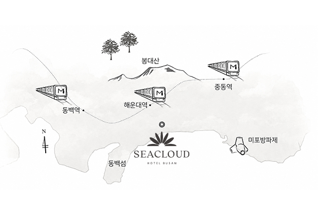 브러쉬